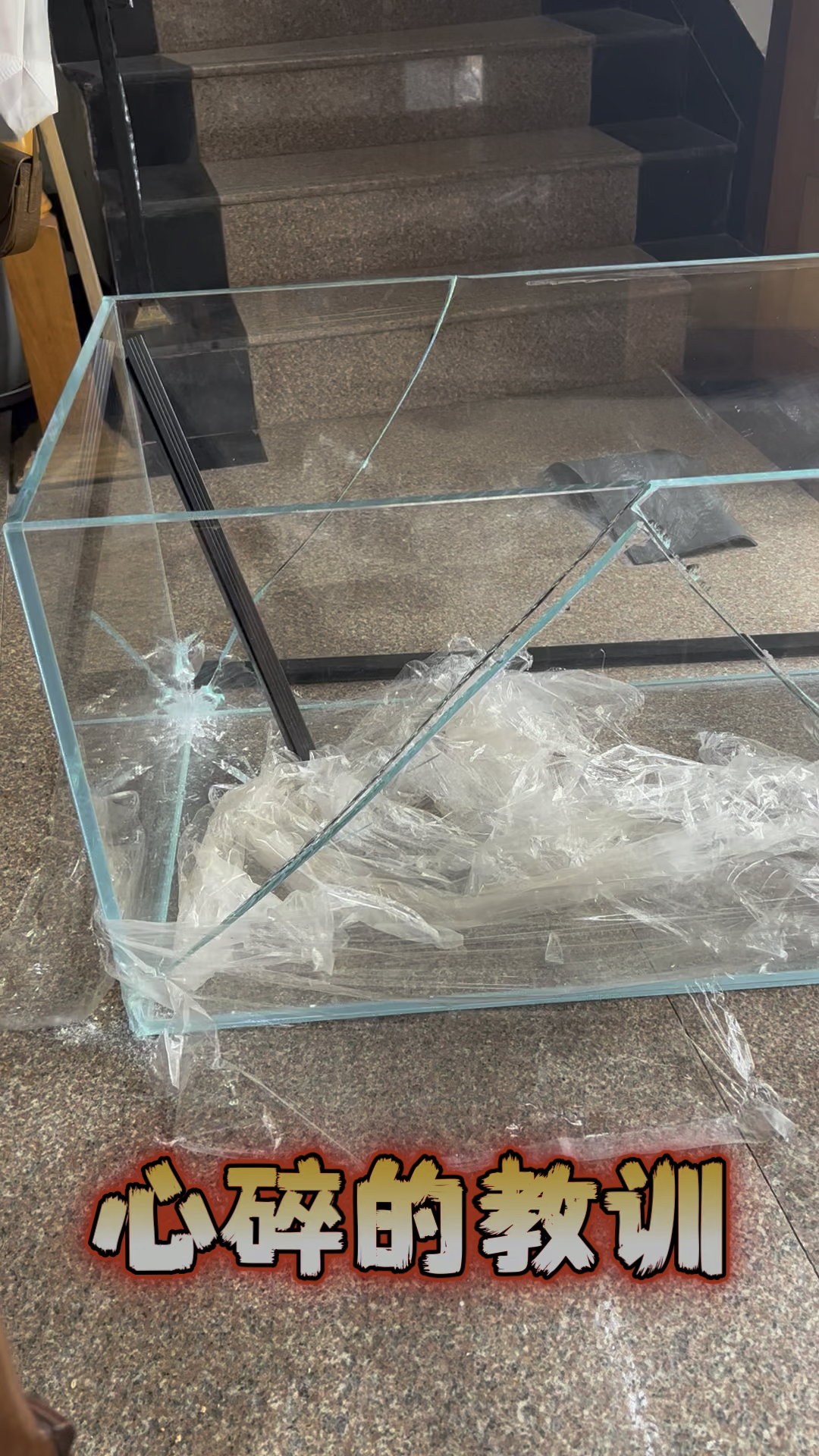 鱼缸碎了,我的心也碎了!