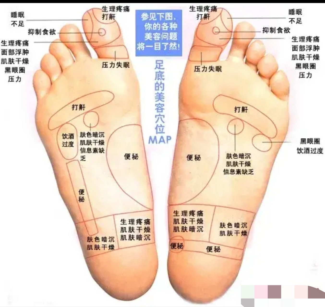 脚掌经络图对应的器官图片