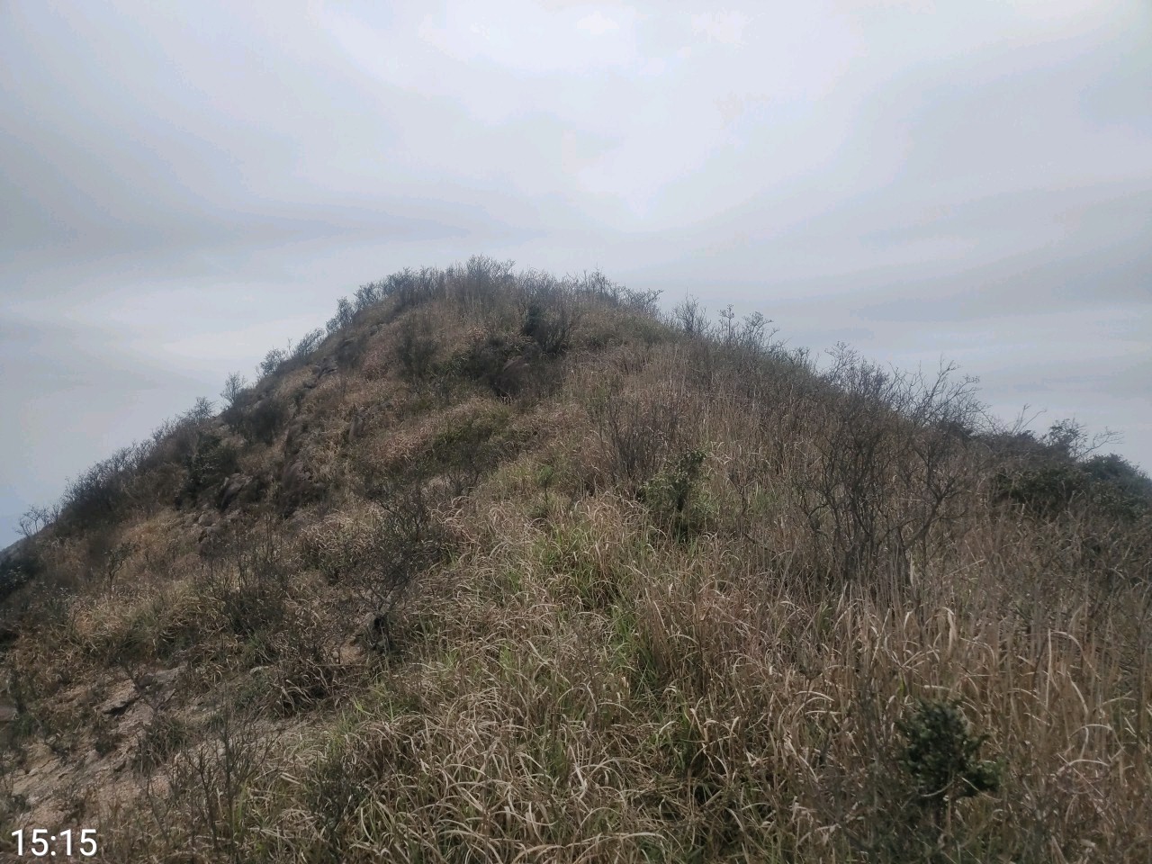 203~205,2021年清远连山县大雾山,政岐山,红泥埒三峰连登