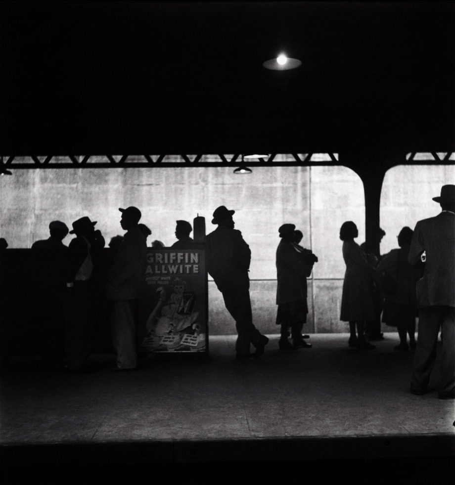 摄影大师艾略特·厄威特(elliott erwitt)