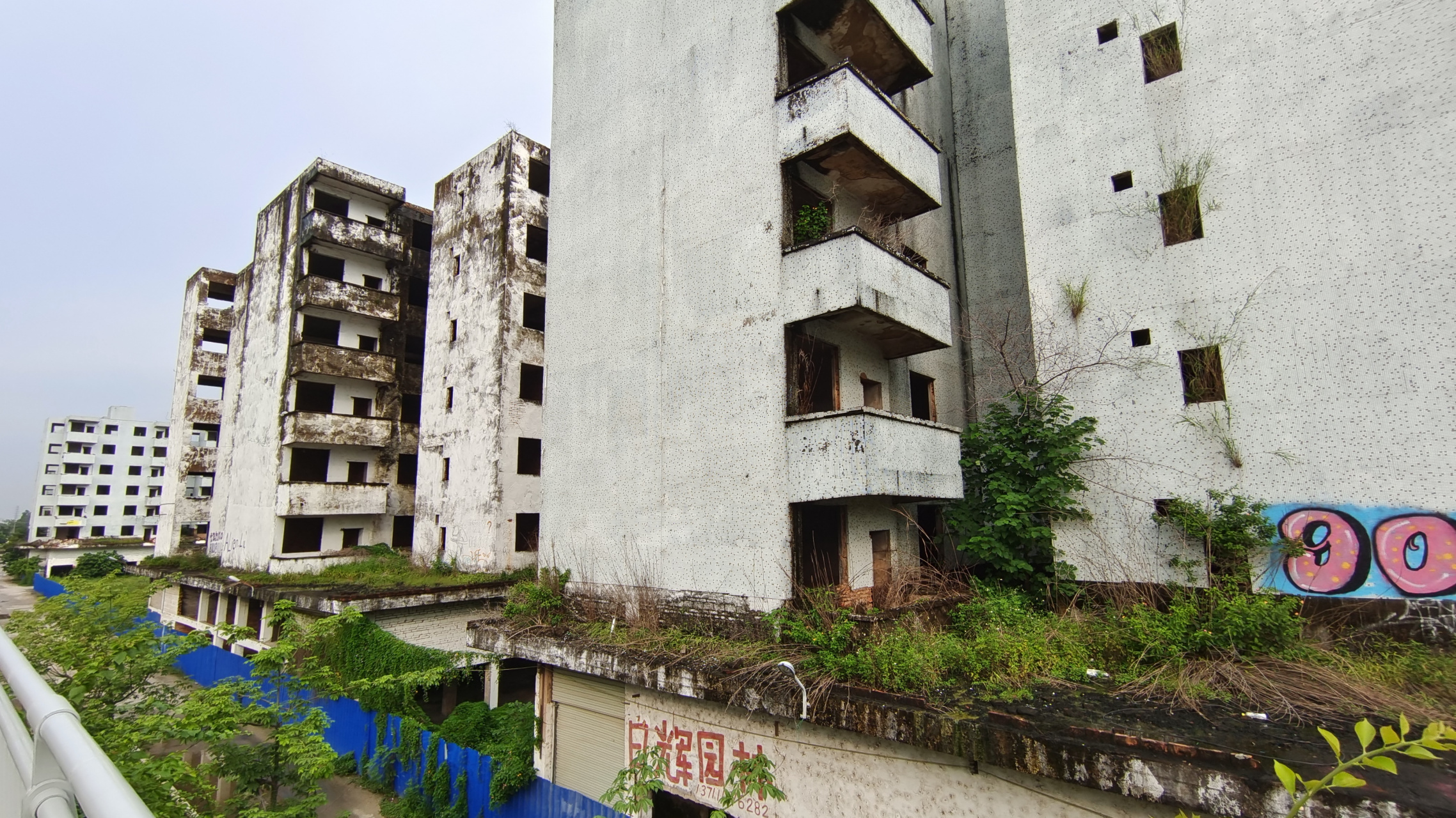 广州烂尾楼群165栋烂尾28年 广州白云区竹料镇有165栋烂尾楼,有600米