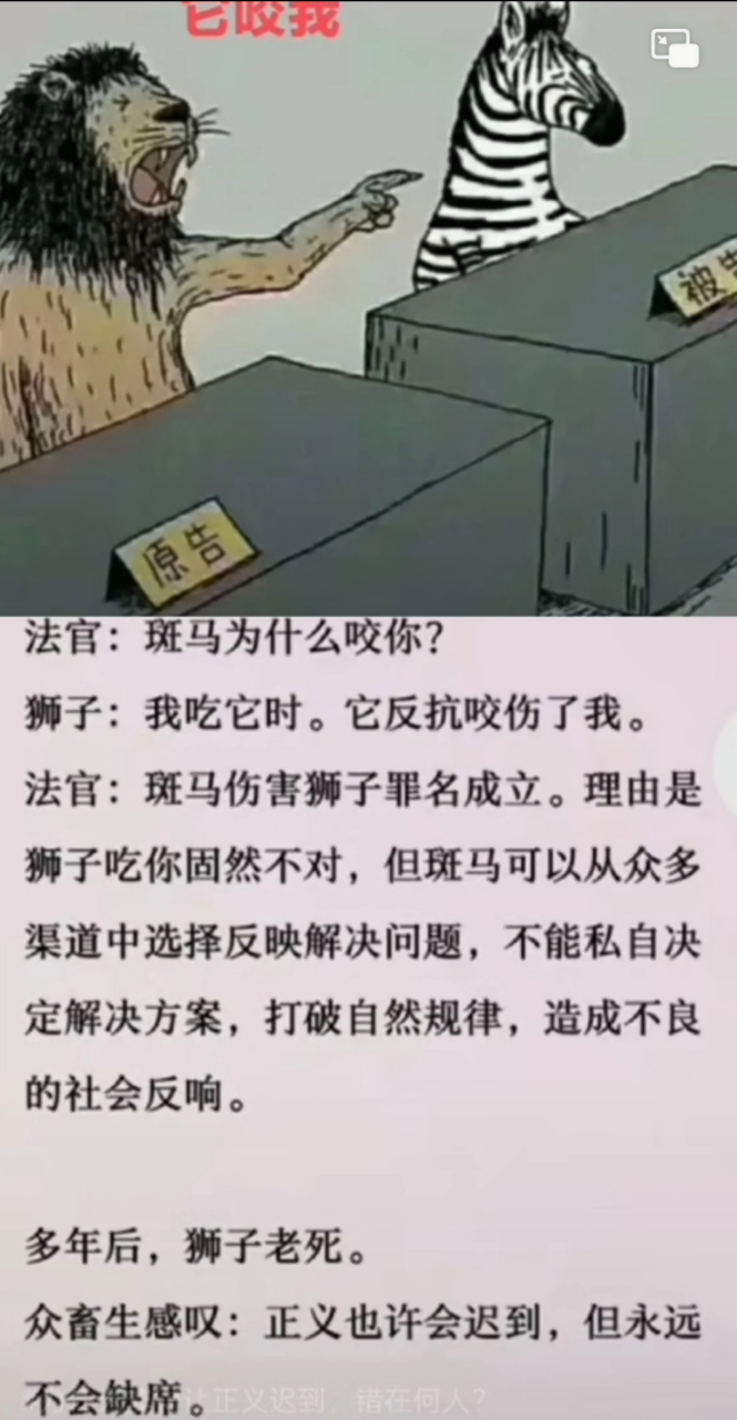 斑马被狮子高上法庭,原因竟然是反抗