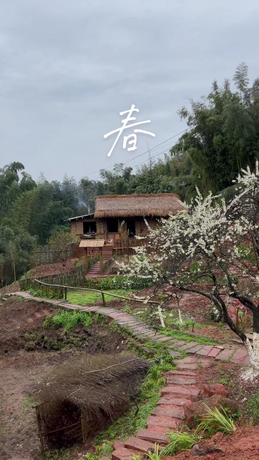 用镜头记录了茅草屋的四季,承蒙厚爱,感谢相遇.#山里人家