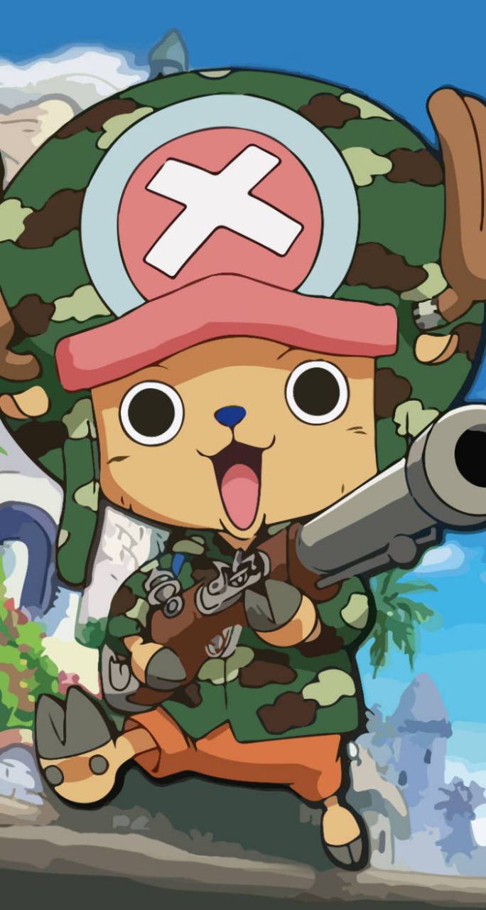 乔巴是草帽海贼团里年龄最小的成员,两年前是15岁,两年后是17岁.