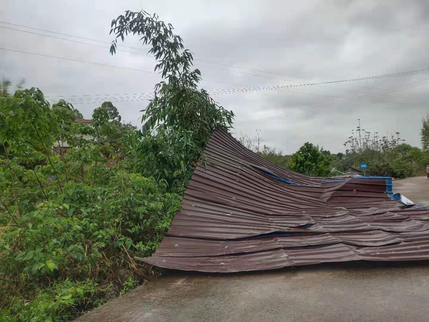 龙马潭区天气预报 龙马潭区天气预报