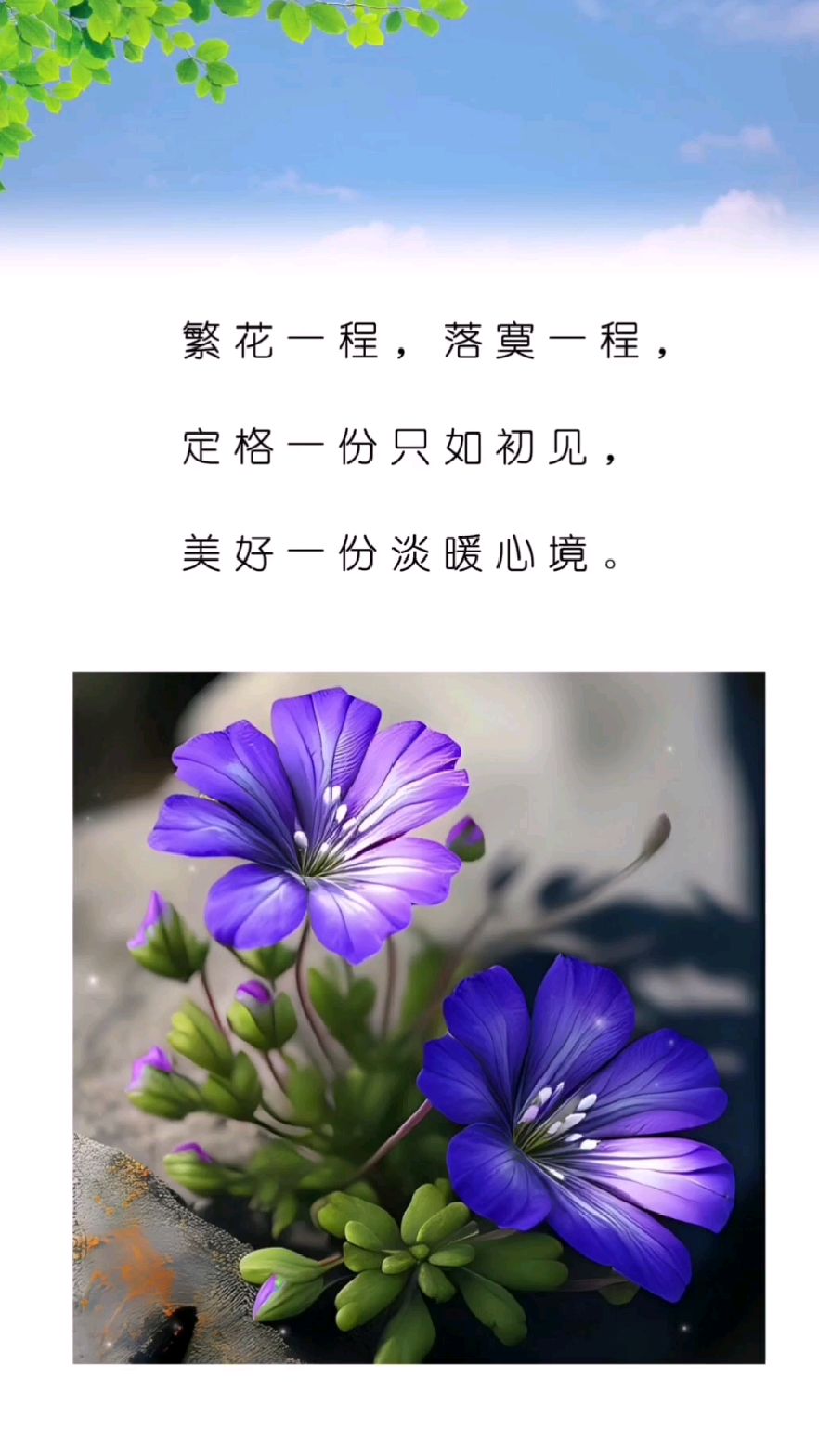 繁花一程,落寞一程, 定格一份只如初见, 美好一份淡暖心境.