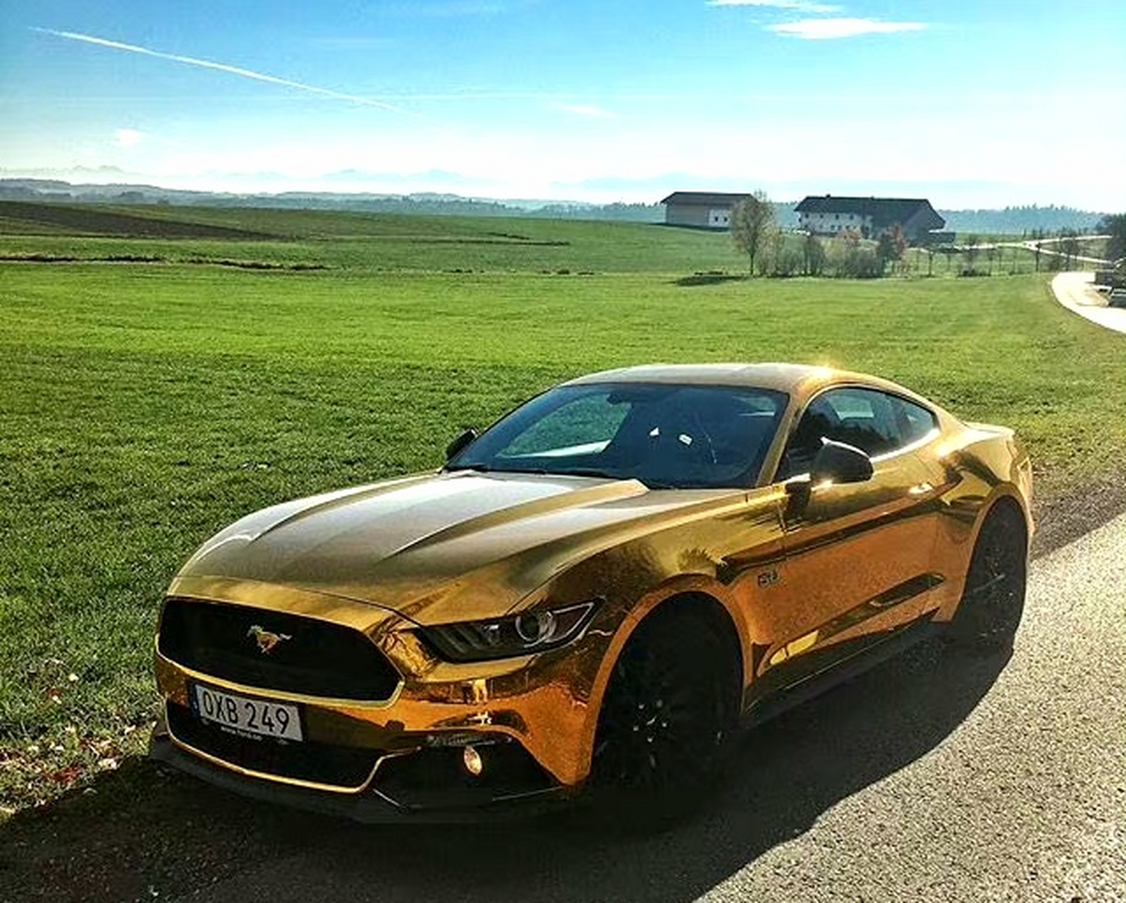 土豪金色的豪车 #豪车