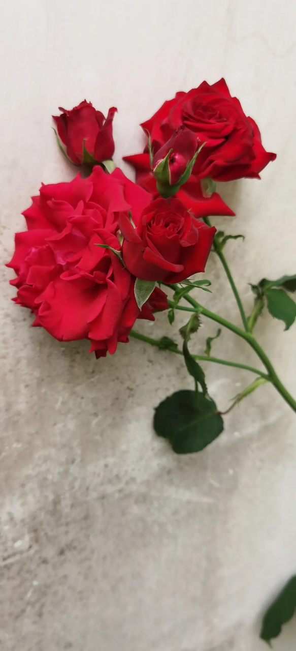 我的邻居老俩口都是小学退休教师,女的退休金5000元,男的退休金5100元