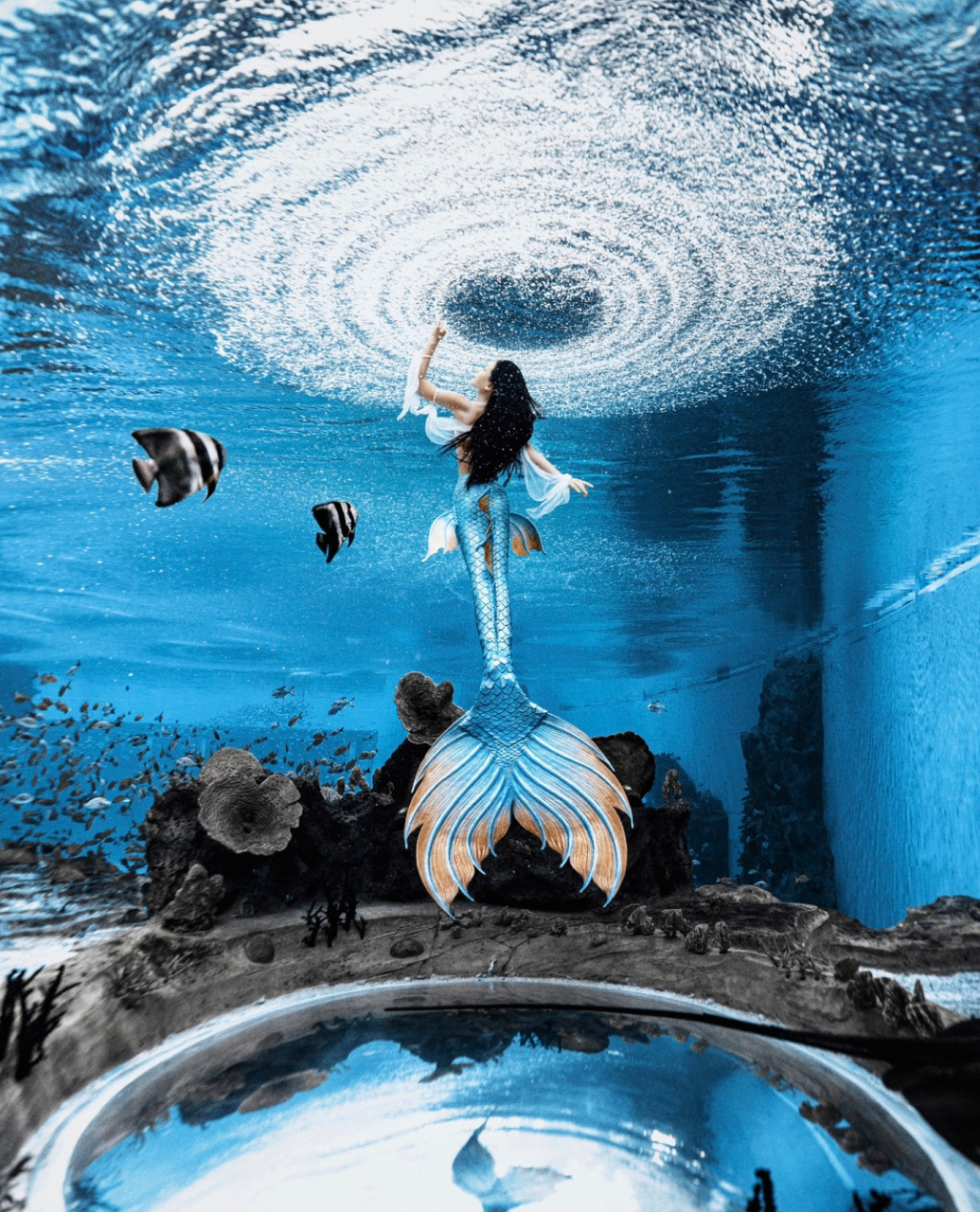 第一次在海洋馆看美人鱼表演,其实这个职业工作强度之大,危险系数也