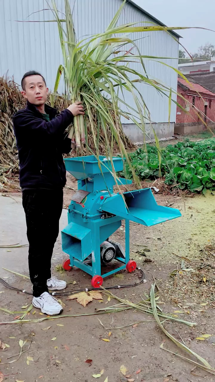 江苏牧羊饲料粉碎机图片