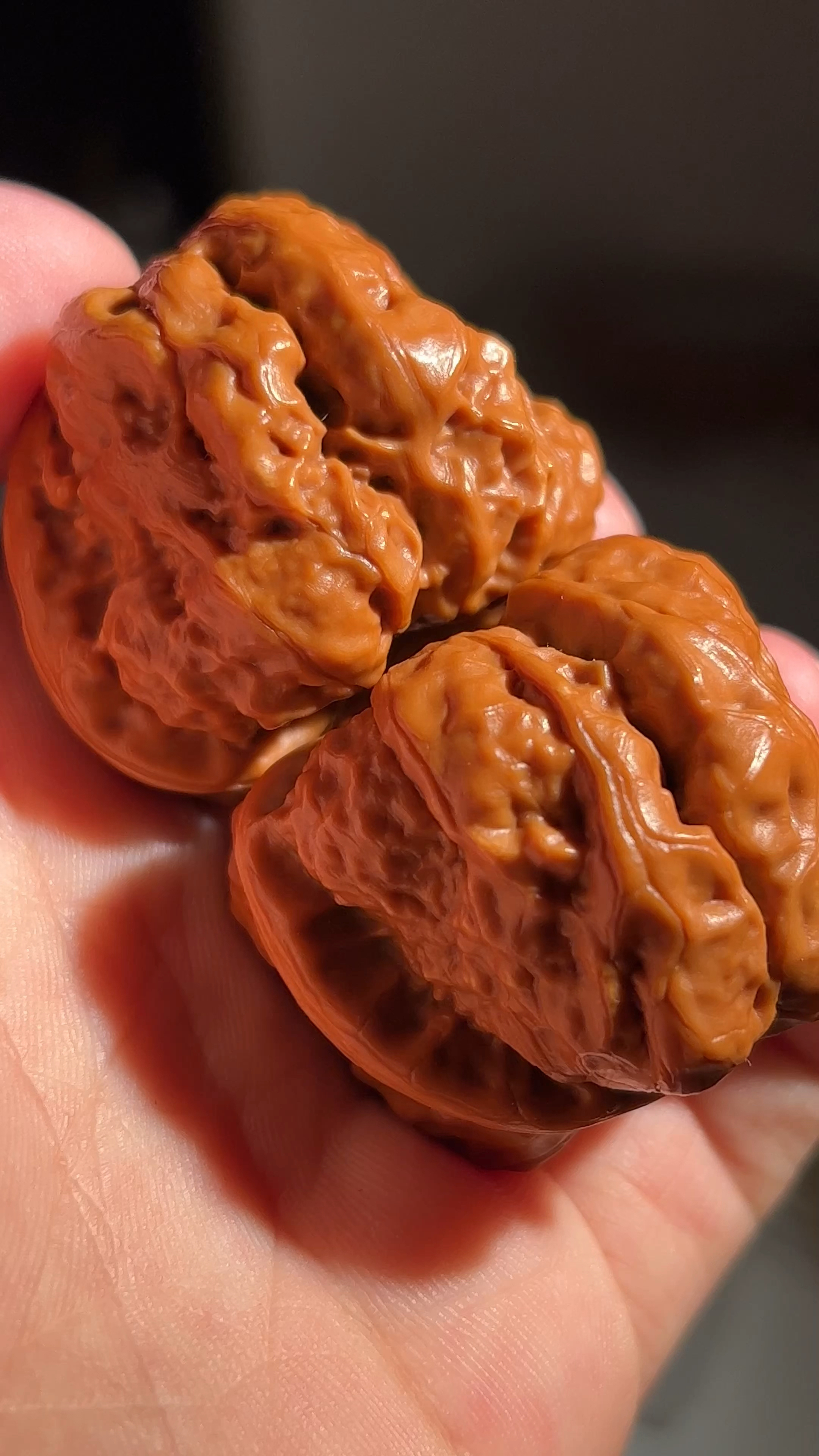 玉化皮质延庆蛤蟆头浑身冒油