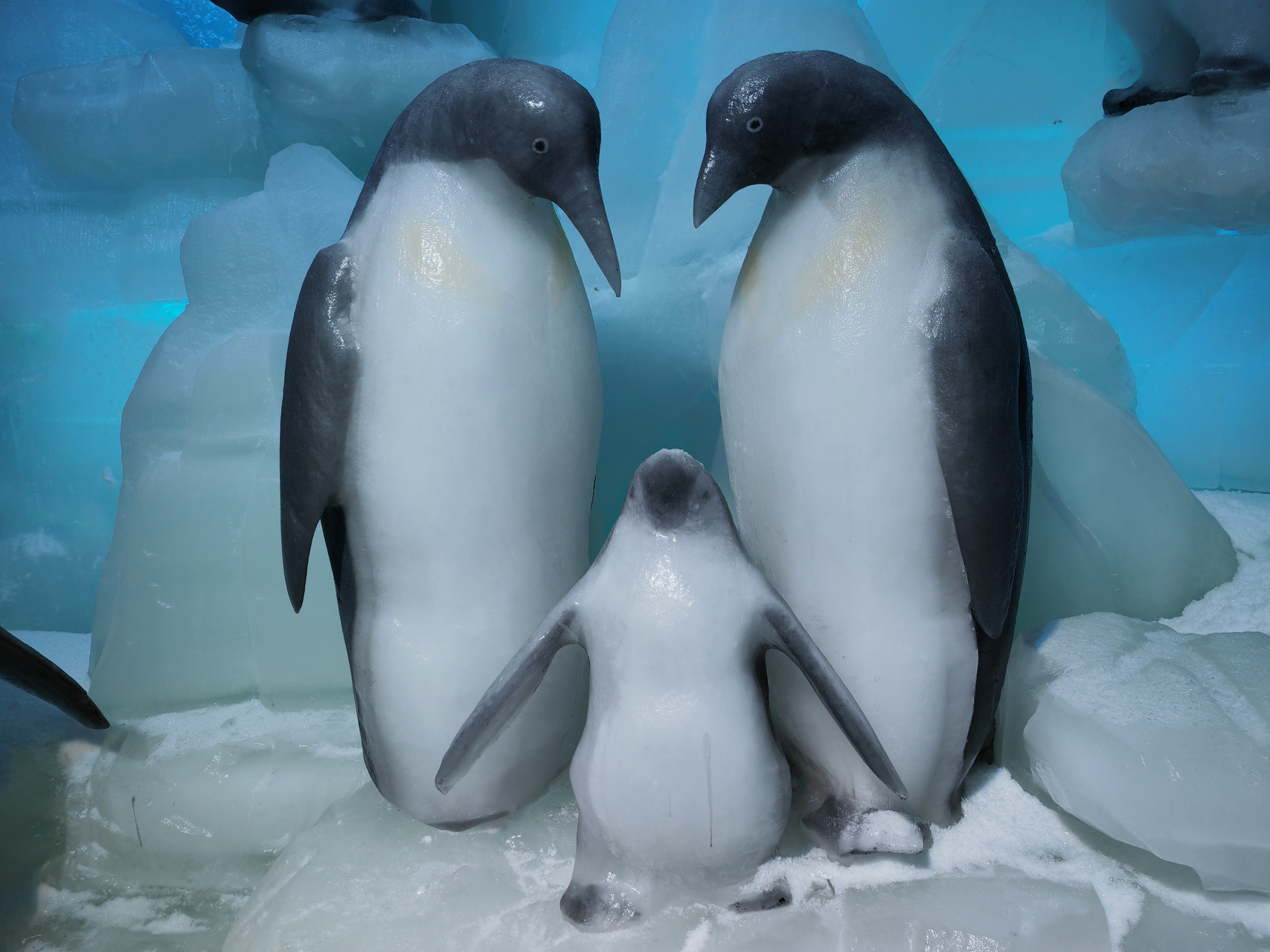 夏日看冰雕,从室外23℃,到室内零下,,是种什么体验?