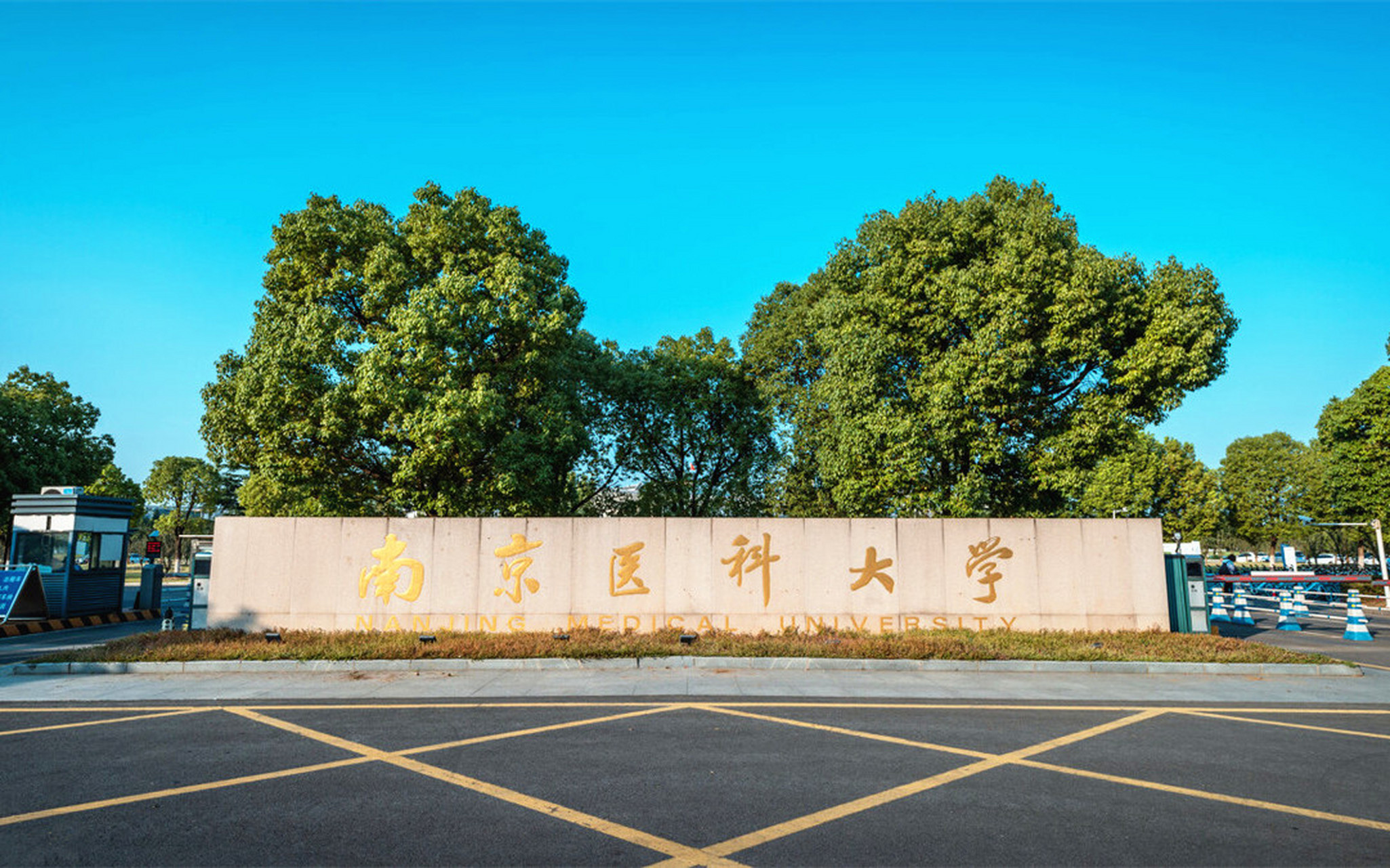 南京医科大学校门图片图片