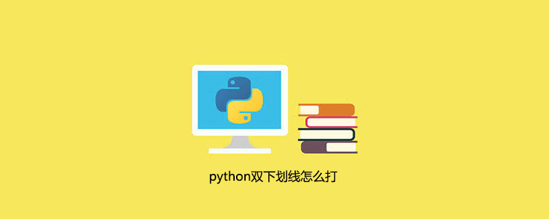 如何在python中输入双下划线