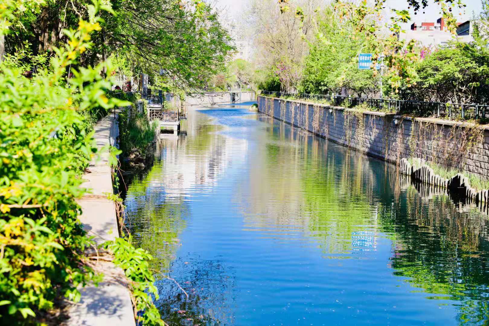 北京海淀:北太平庄街道拓展城市绿色生态空间建"美丽北太"