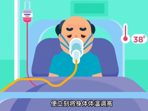 细胞暗战:当你面临危险时,细胞如何为你而战?