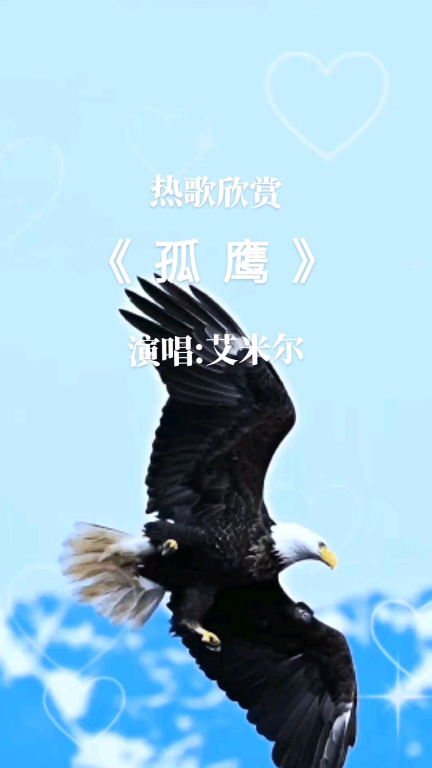 《孤鹰》热歌欣赏 演唱:艾米尔