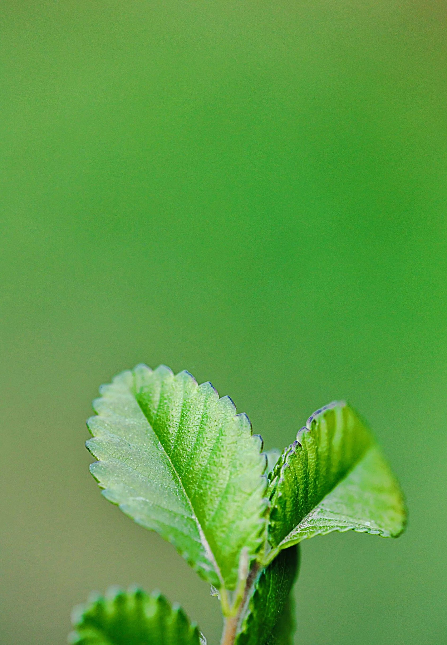 888_1280竖版 竖屏