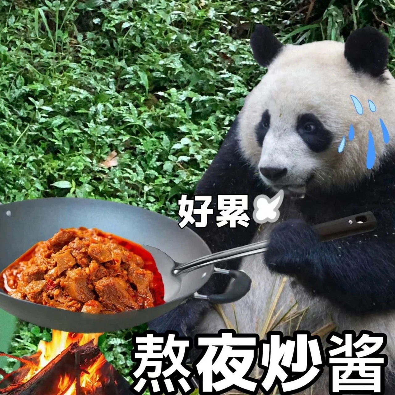 二狗:好累啊 我還要熬夜炒醬 不愧是我們飯掃光的小公主