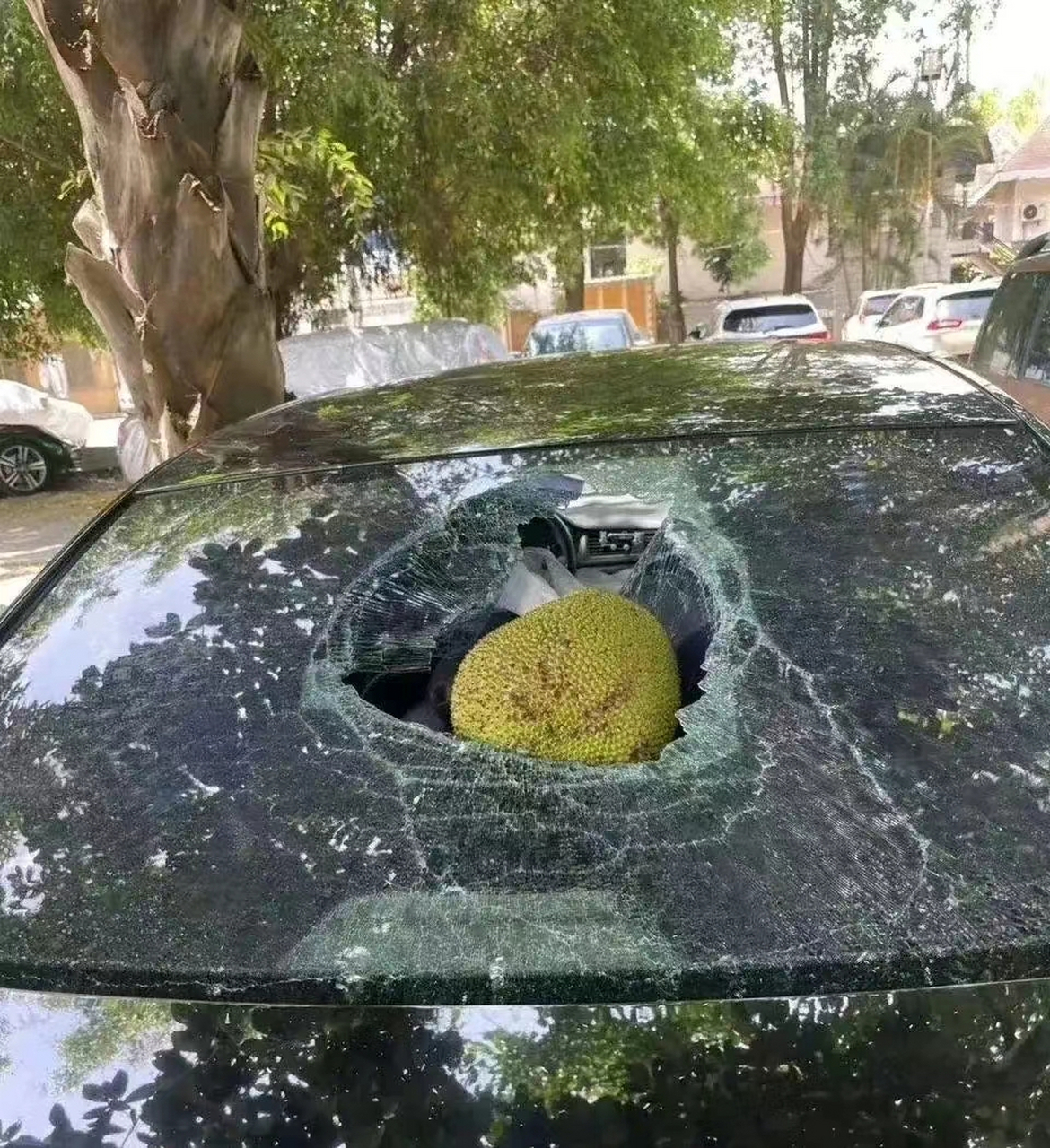 真是人在家中坐,锅从天上来.我想问问,这能报保险吗?