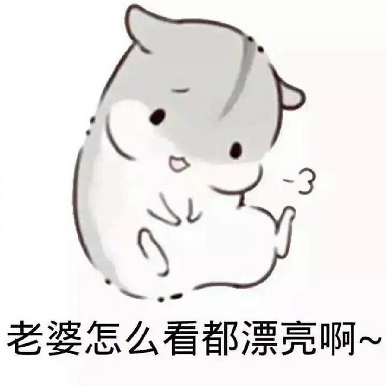 双子座男人是最会哄老婆开心的星座之一,他们幽默机智,妙语连珠,聊