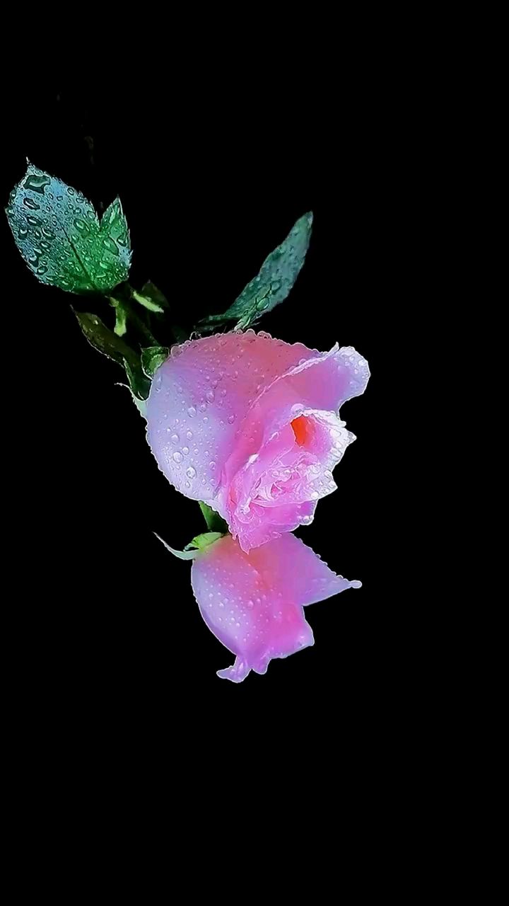 我去得了任何地,却永远到不了你,就像你直在我,却永远看不到我的悲伤