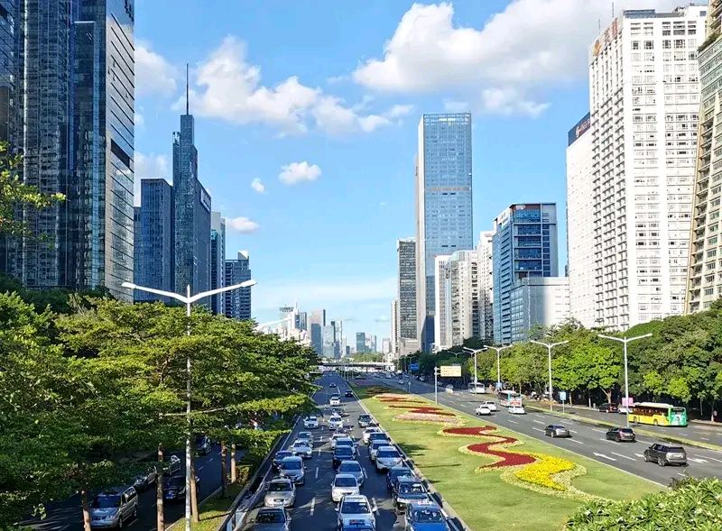 深圳和哈尔滨的冬天