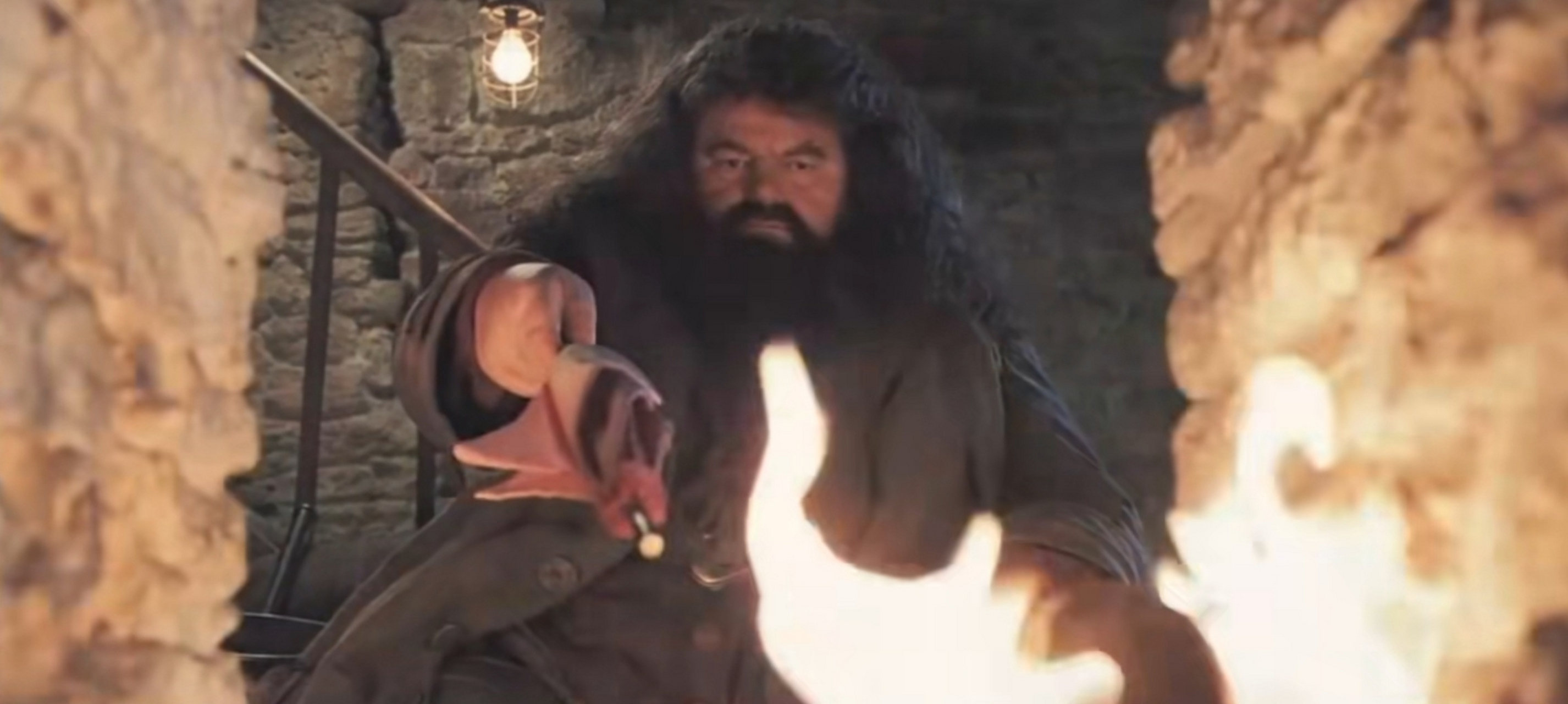 今天看到新闻,《哈利·波特》鲁伯·海格扮演者罗彼·考特拉尼去世