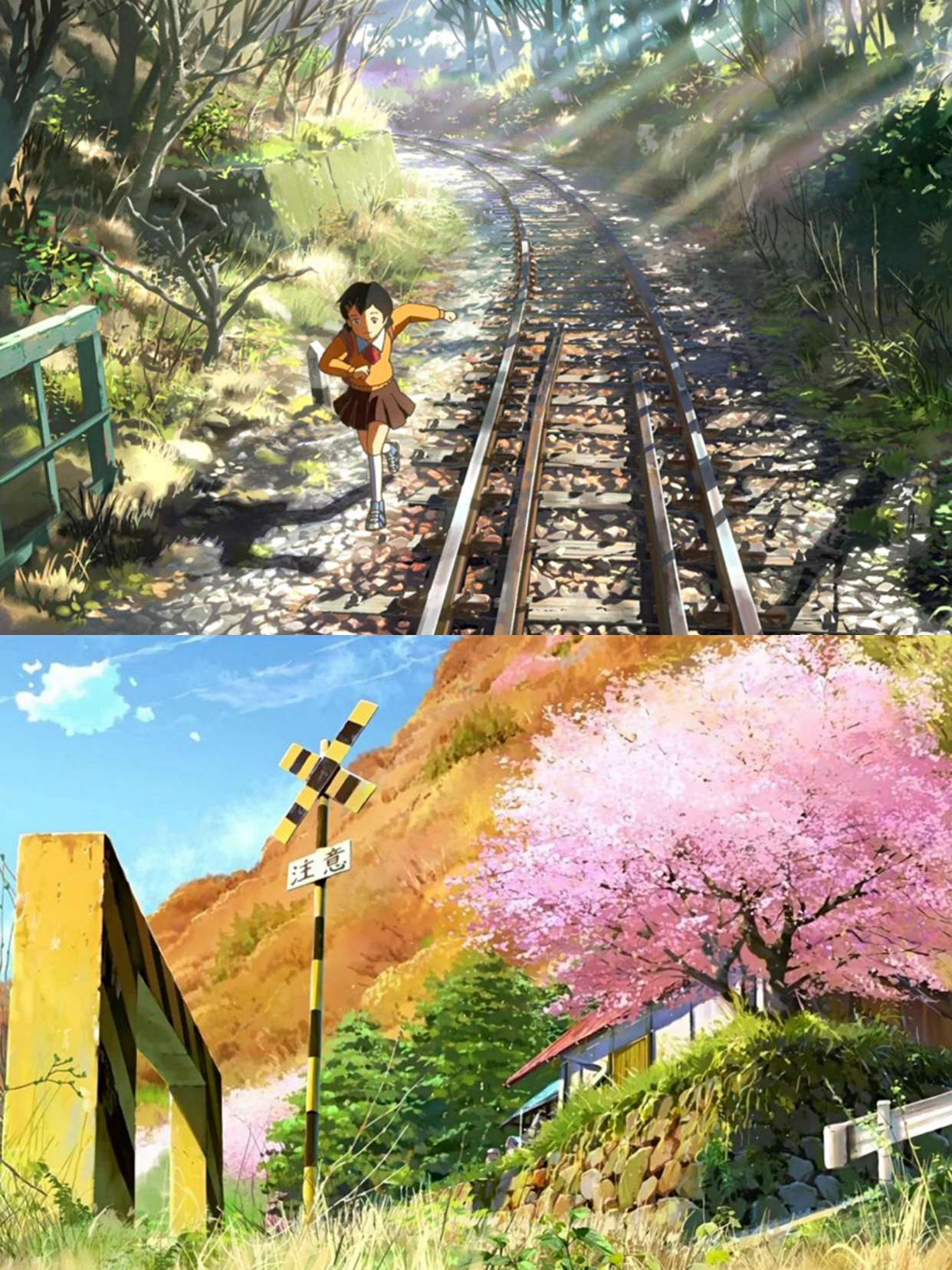 新海诚的夏季,既有樱花纷飞,也有葱绿盎然