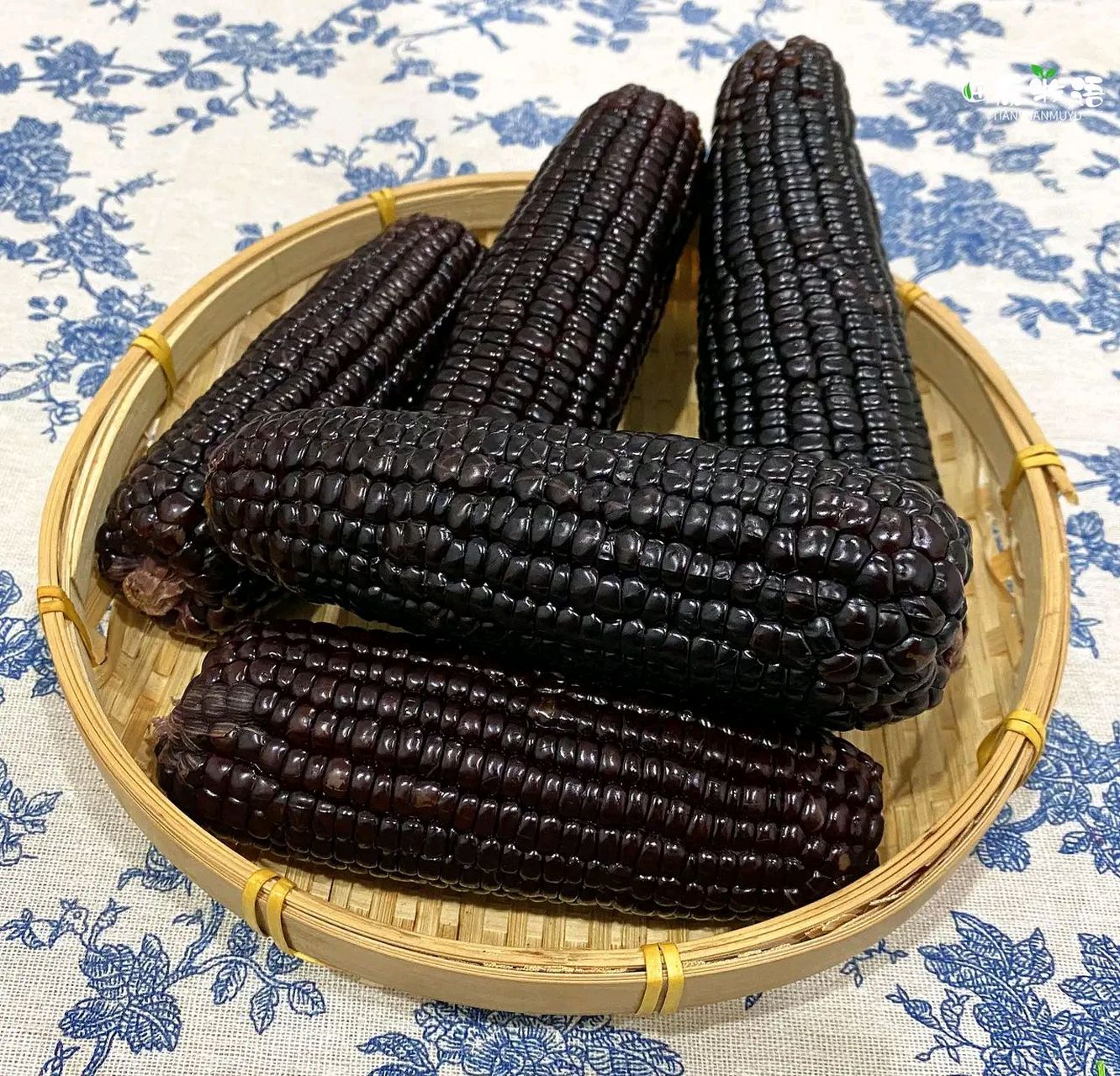 被称为"黑珍珠"的黑糯玉米,玉米须到玉米芯整根都紫黑色会发亮,黑玉米