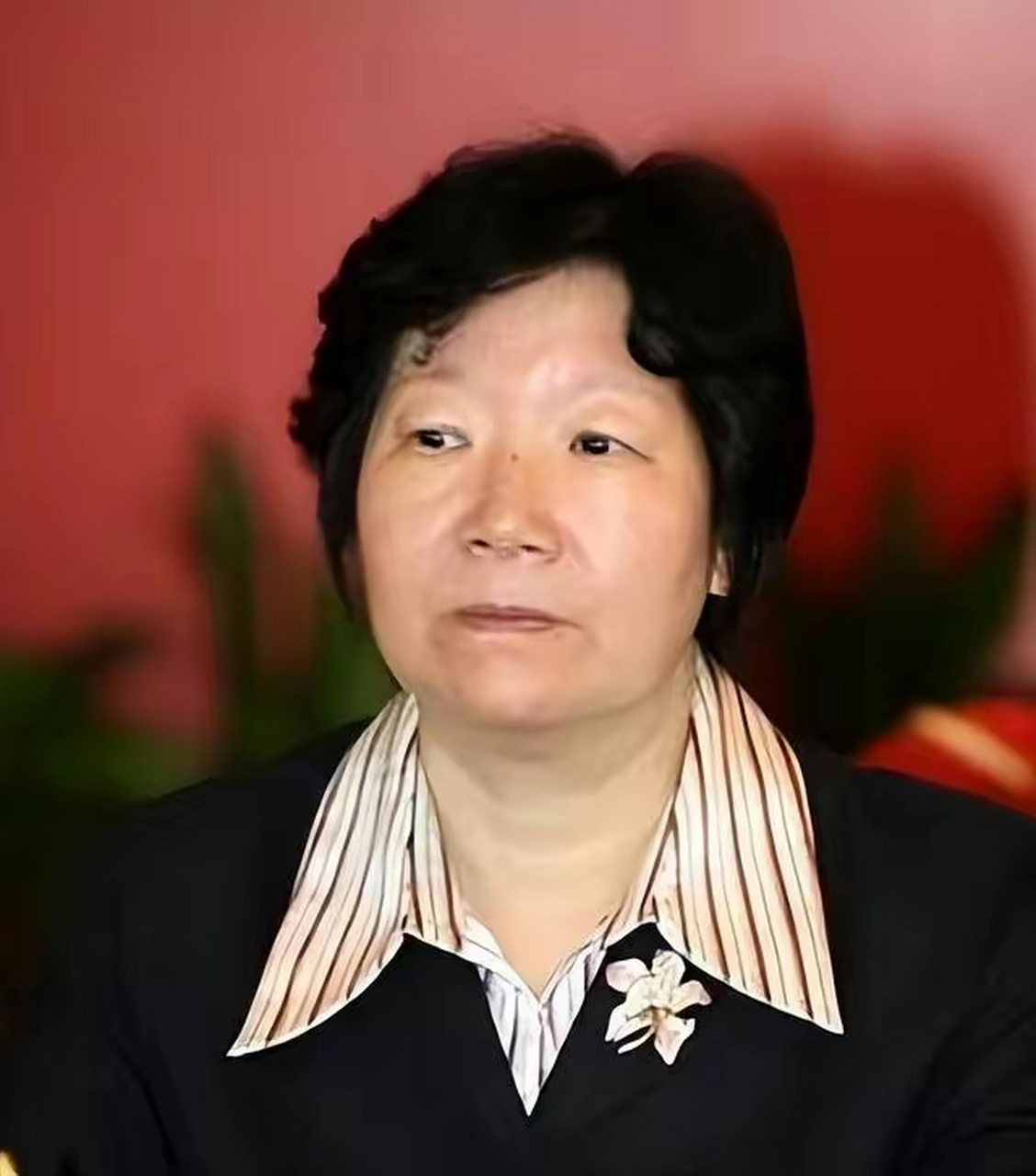 女市长李启红:敛财千万,包养10个情人,跟女婿同居,逼疯女儿  16