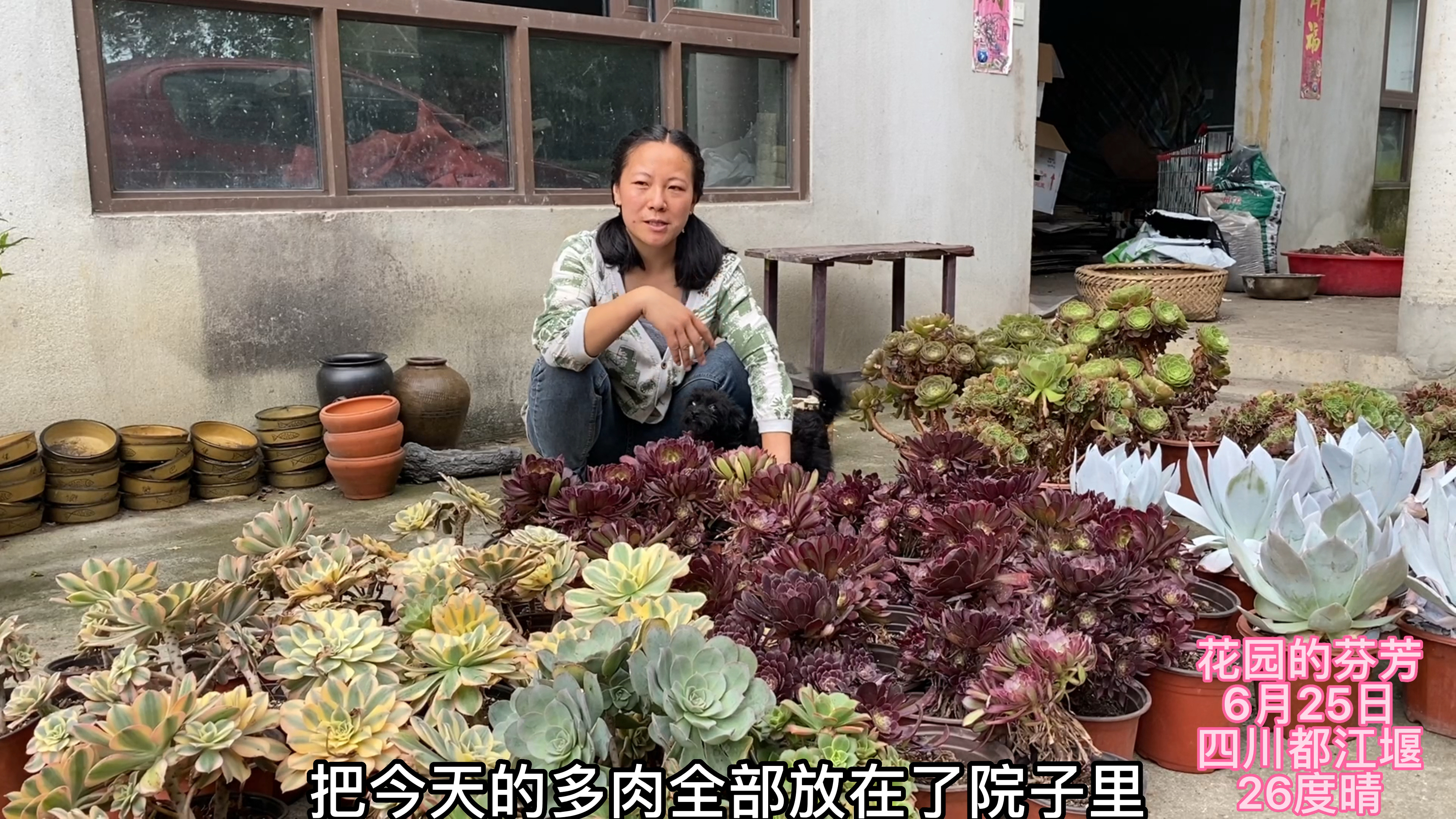 小马被砍头苗勾引,不小心拿了一堆法师,没地方放好焦人!