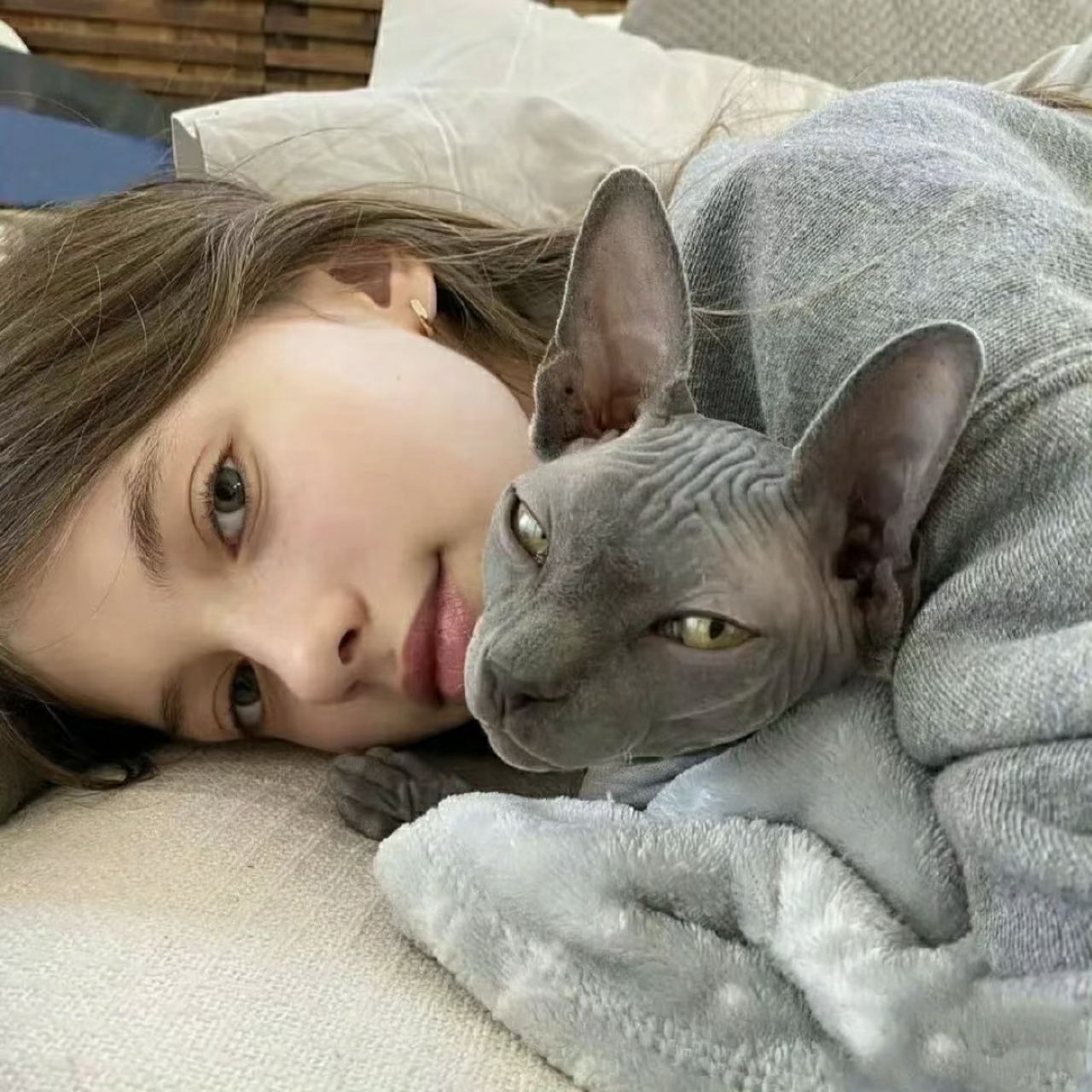 欧美抱猫女头#欧美女神# #美女