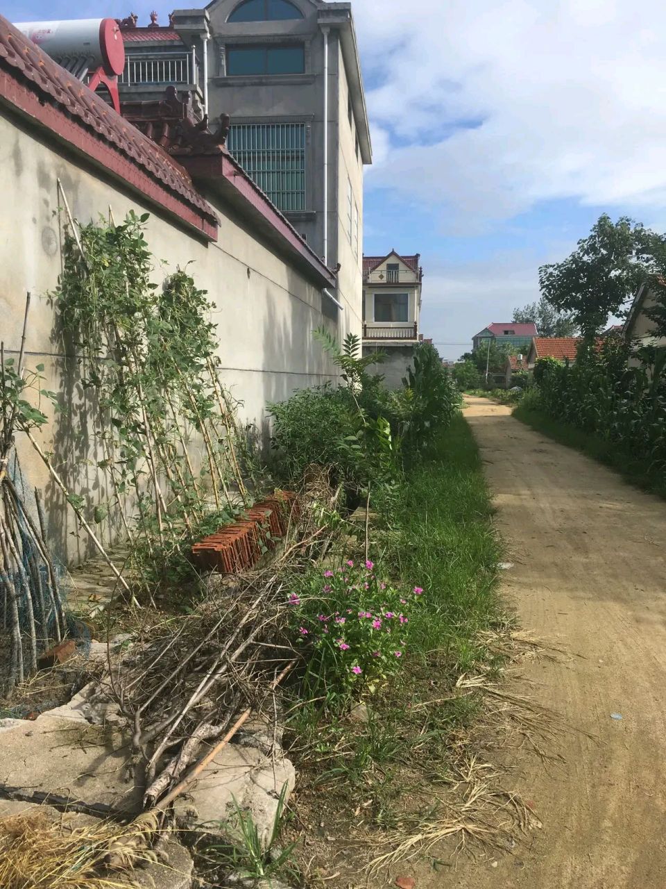 在江苏省连云港市东海县的一个小村庄里,农村的年轻人想要娶媳妇,可谓