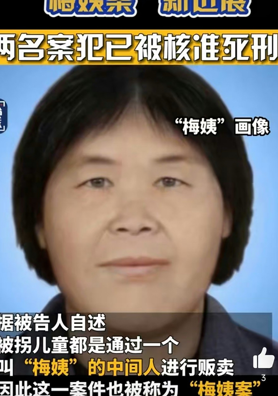 人贩子梅姨落网,人贩子"梅姨"几个小时前被抓了