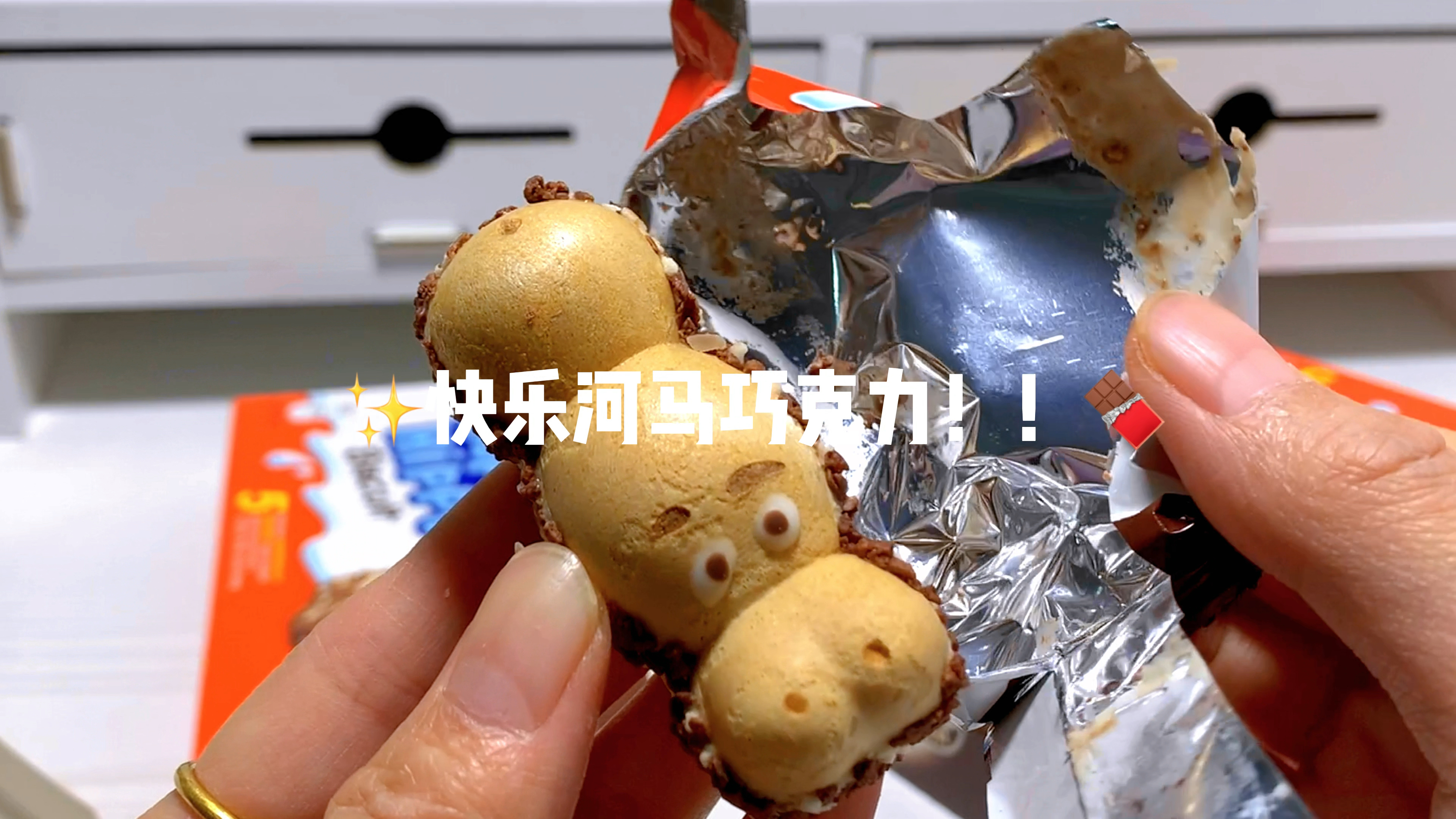 可可爱爱的河马巧克力,一口一个好满足!