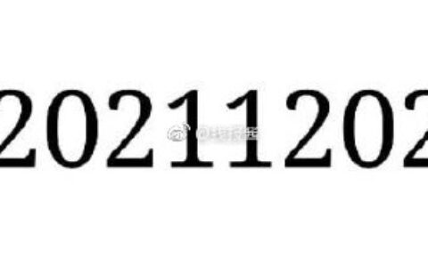 今天是20211202，对称日，后面依次是2030年03月02日、