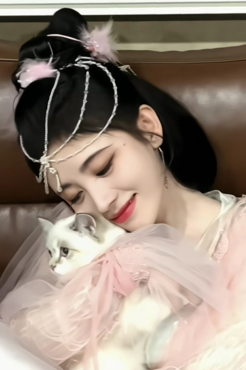 鞠婧祎跟小猫的适配度满分,她本人非常有猫咪的特性