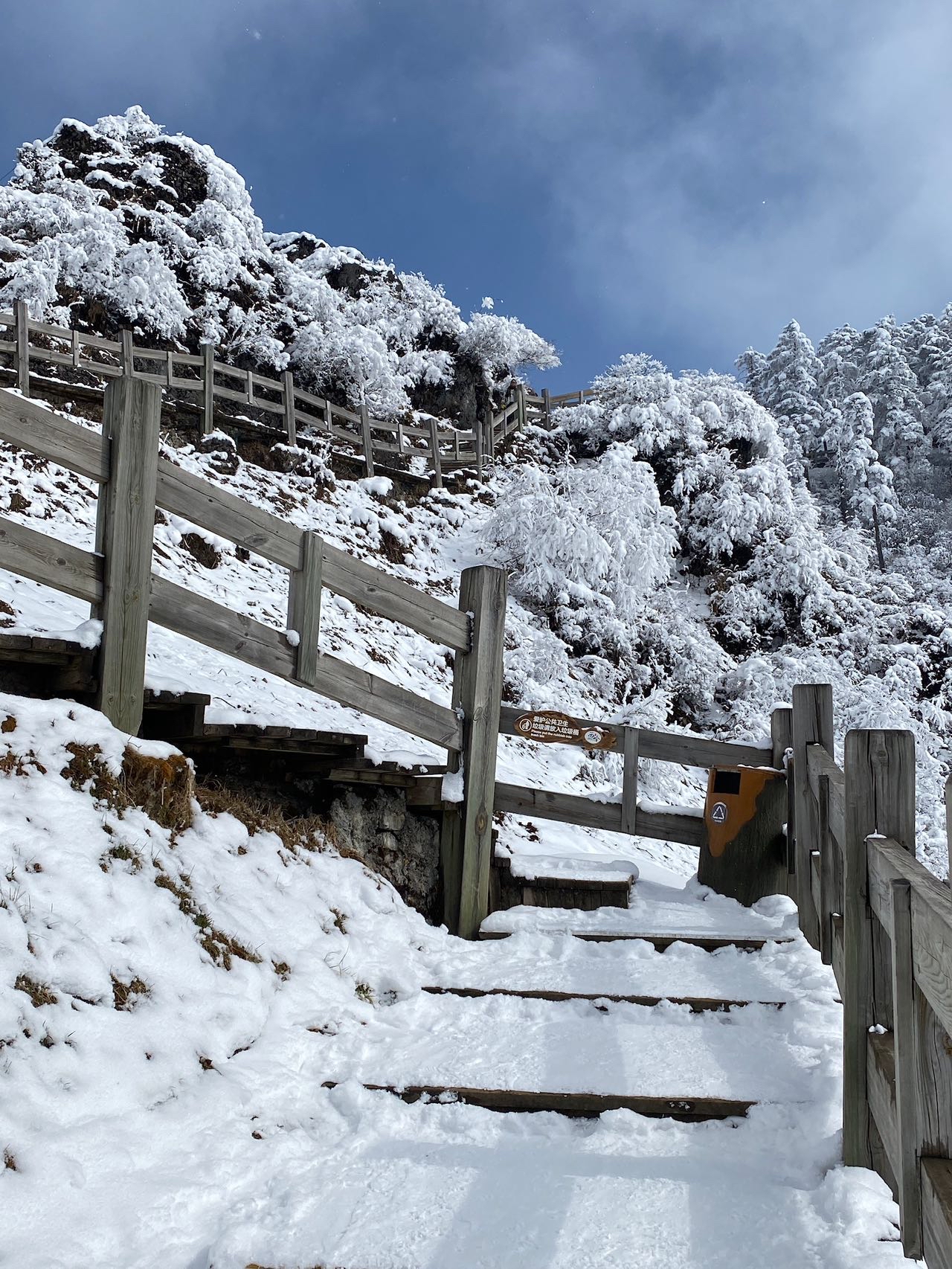 看雪15在这里15成都周边游—西岭雪山今年是个暖冬,天气一直比较