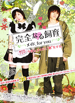 完全饲育:专属女仆 完全なる飼育 メイド、for you (2010) 4.5