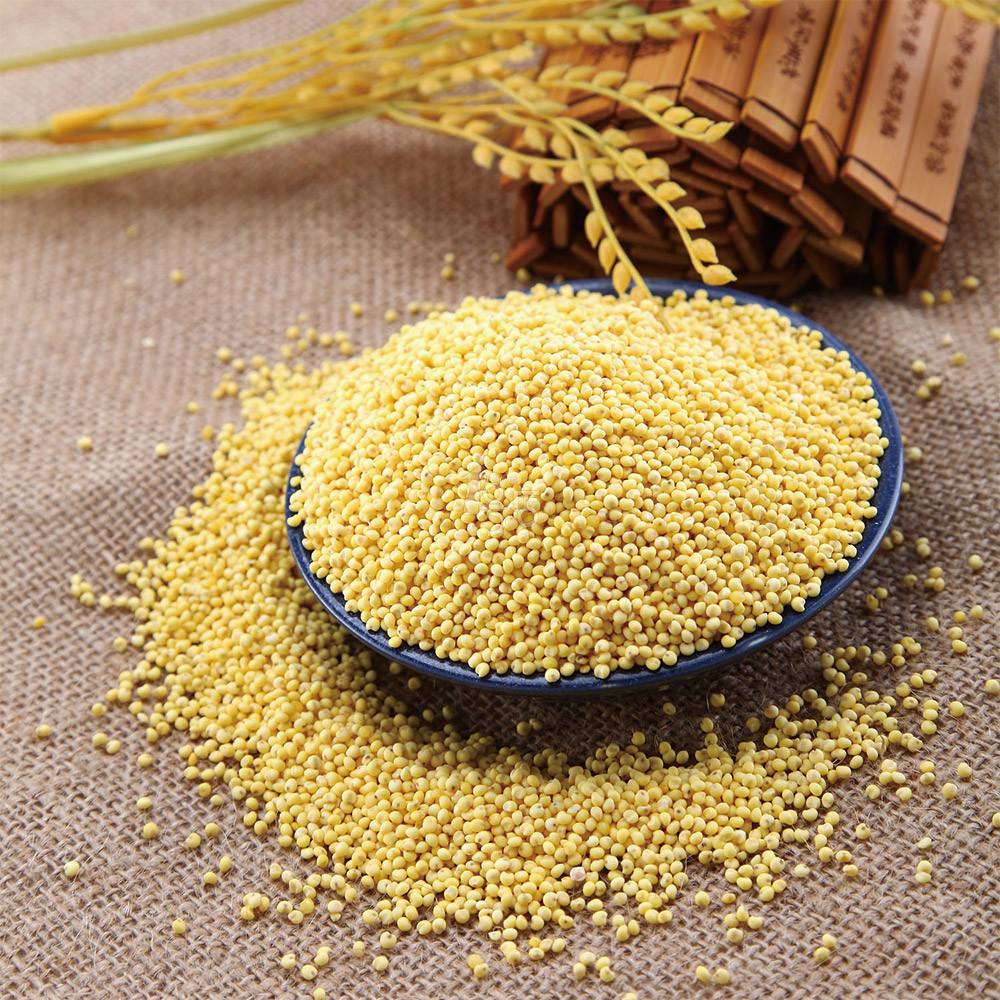 繁峙县——黍米之乡