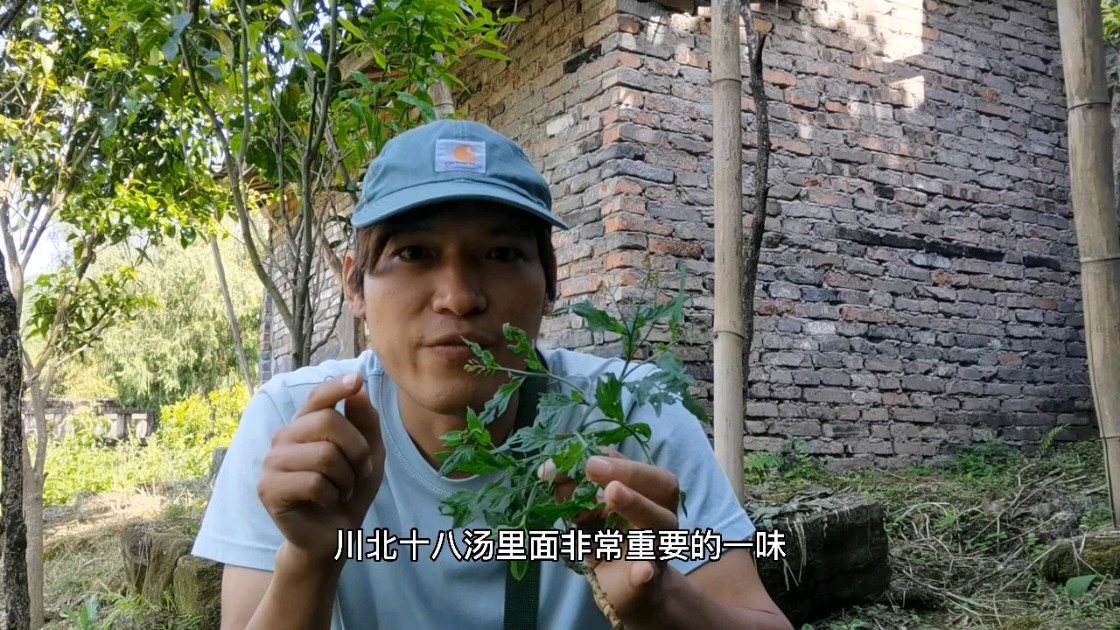 发现有只鸡专干坏事,川北的乡村有种野生的好东西,夏季必备佳品