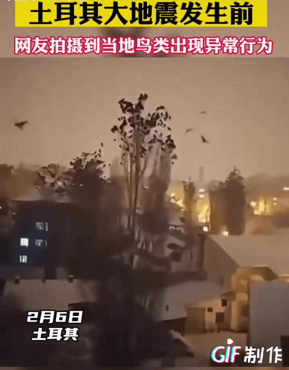 为什么地震前种种类