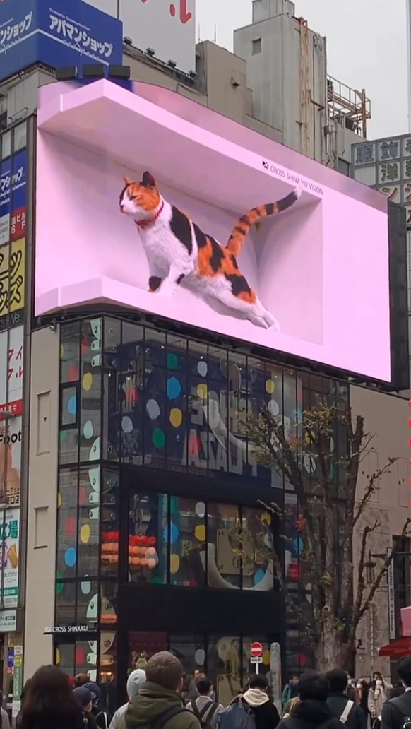 日本新宿街头的3d巨型猫咪