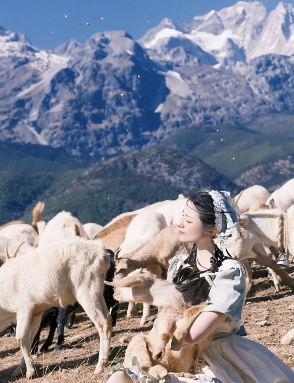 高原雪山边上的美丽放羊女孩9799