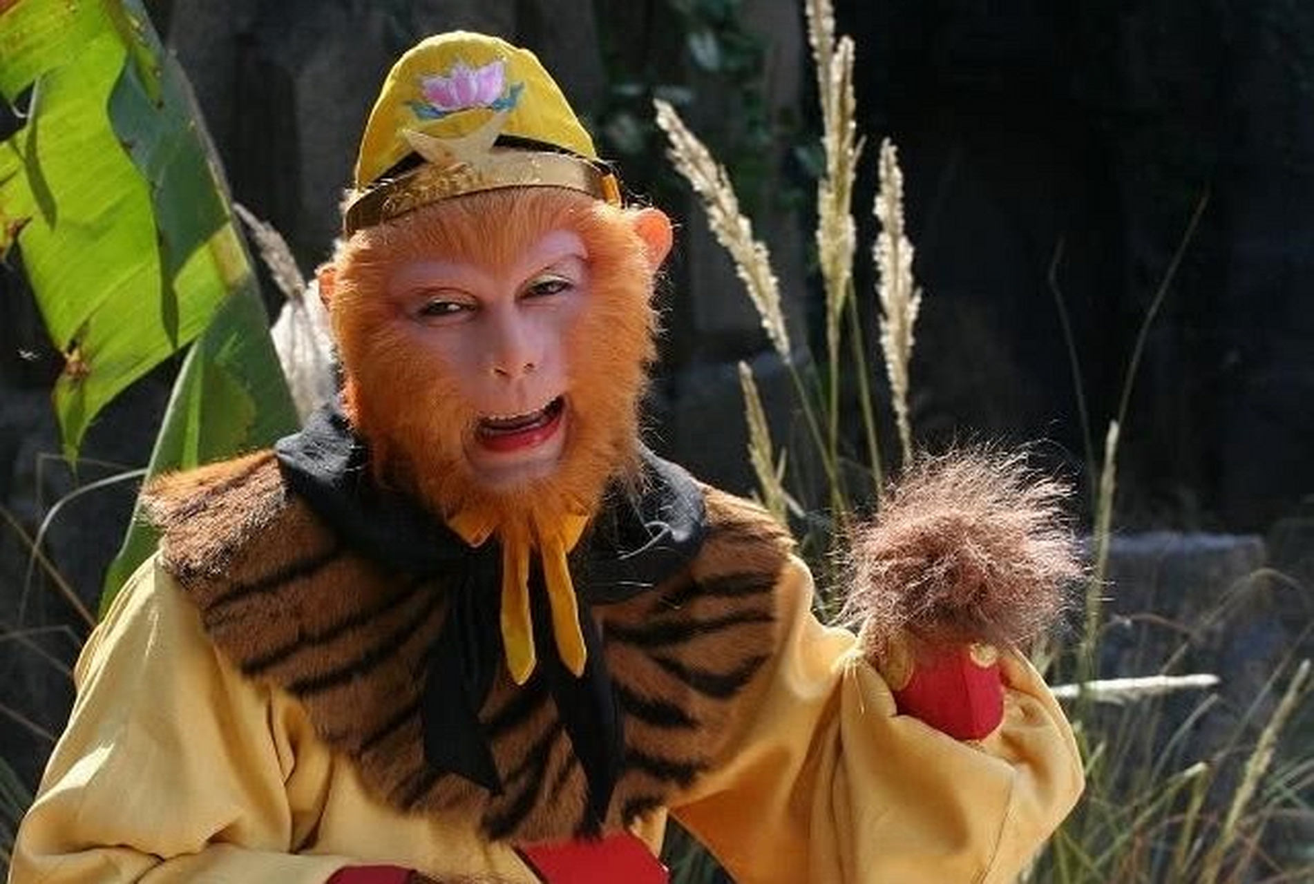 《西游记》猴王出世没几年就出海求长生,回来时自己的洞府被别的妖怪