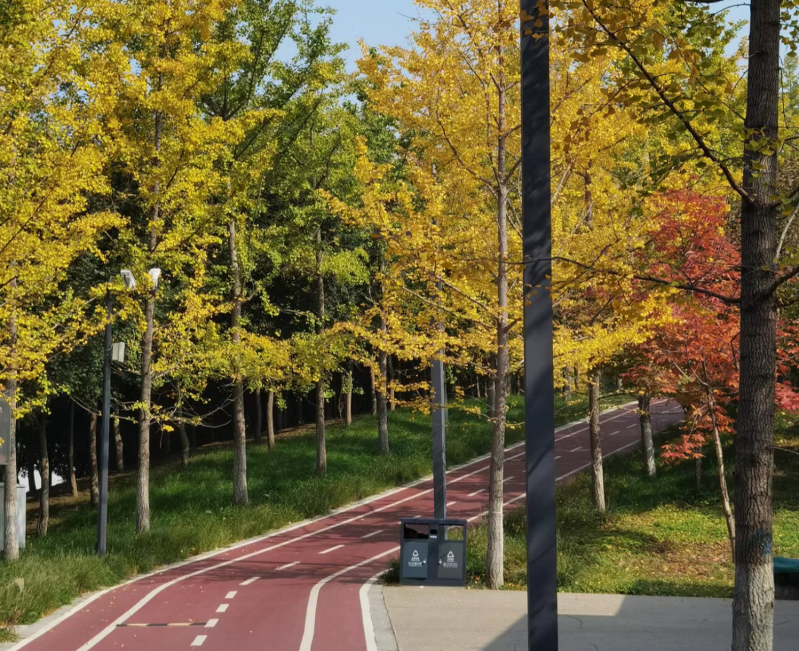 西安这座城市的绿化做得挺好,节假日带着家人到雁南公园赏秋景,被这里