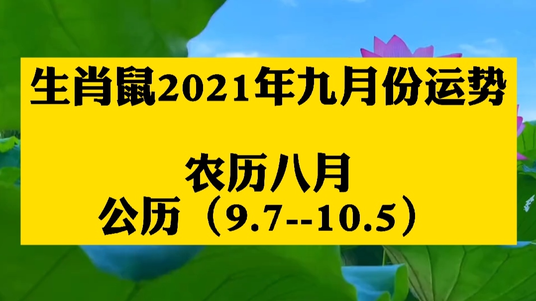 屬鼠人2021年9月份運勢分析