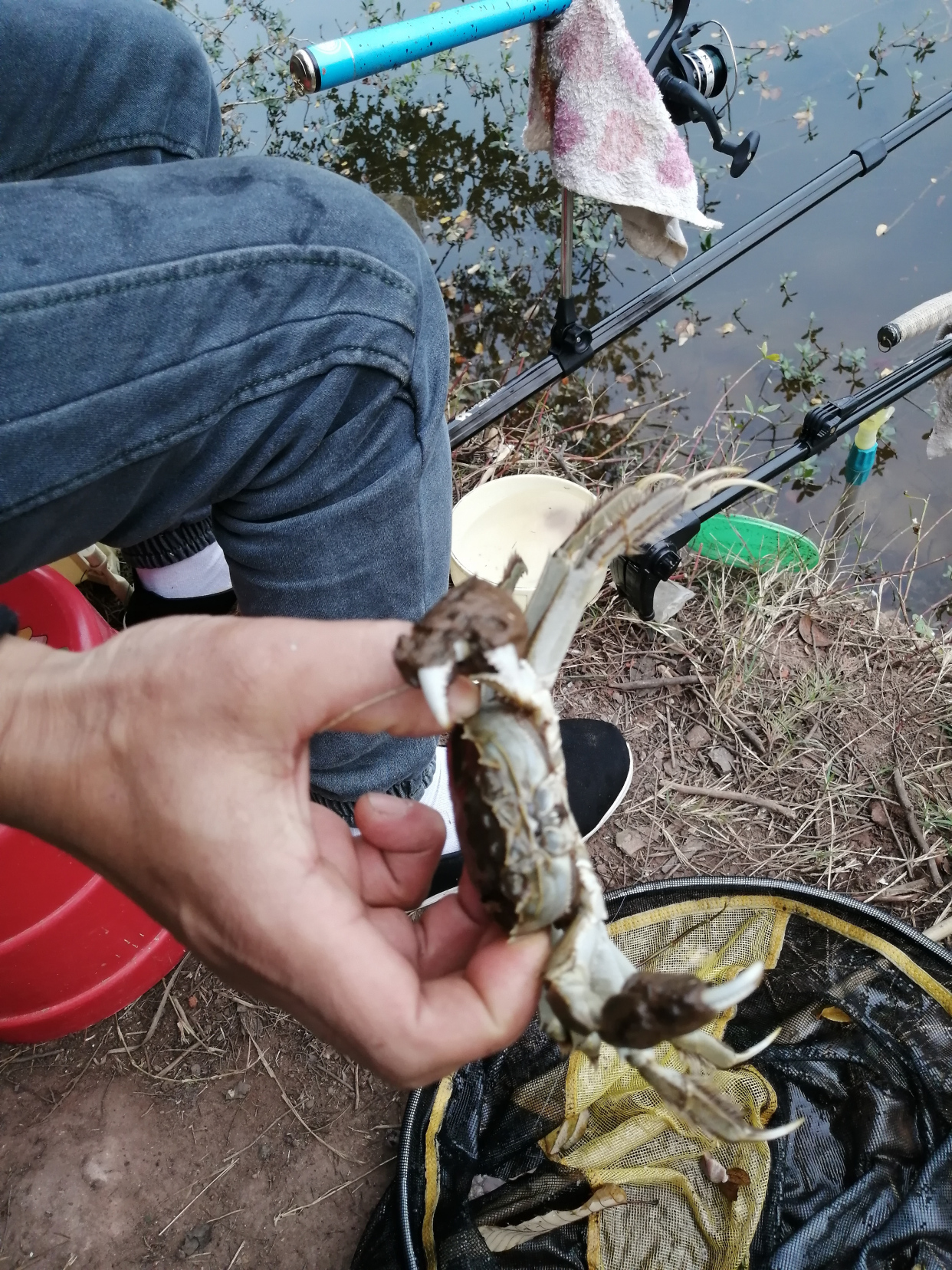 继光水库钓螃蟹