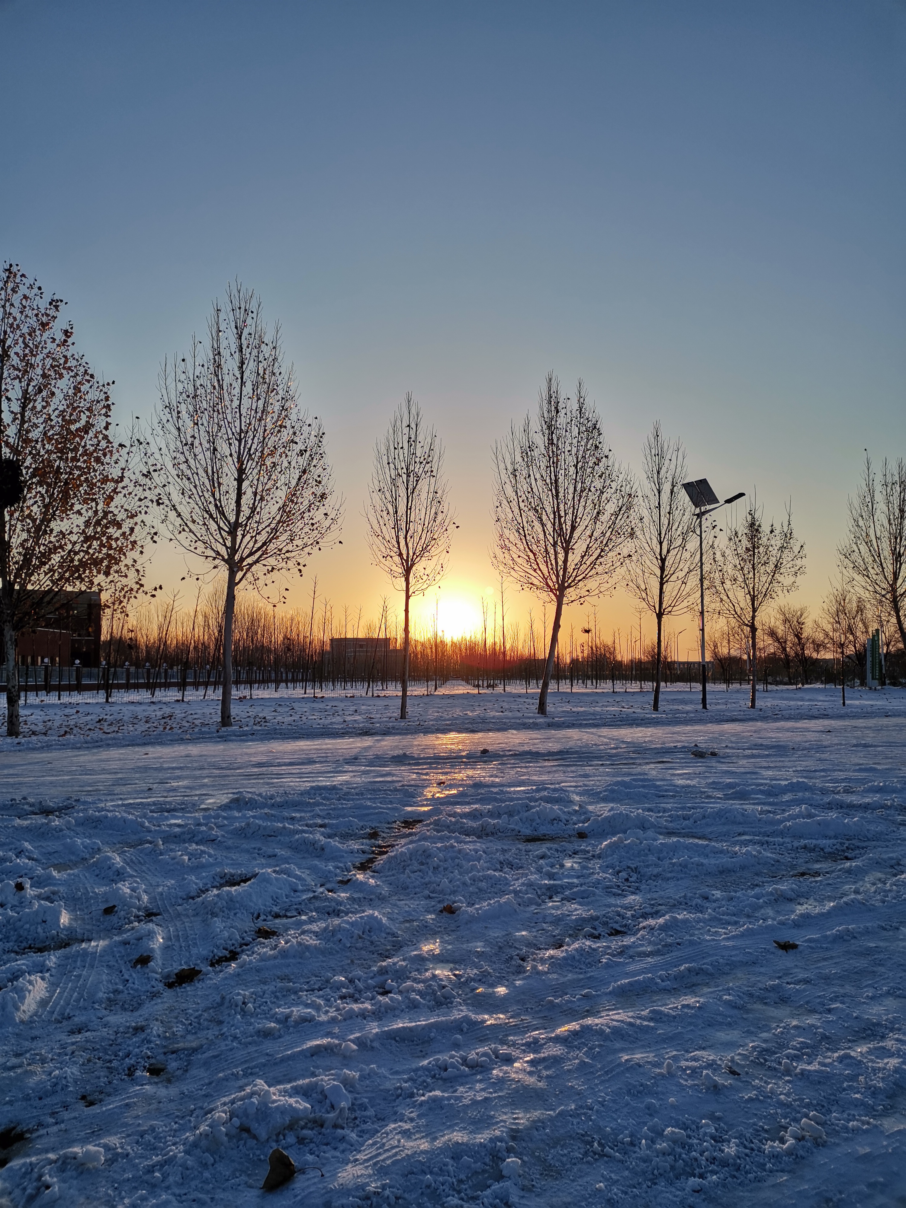 雪后的太阳升起来
